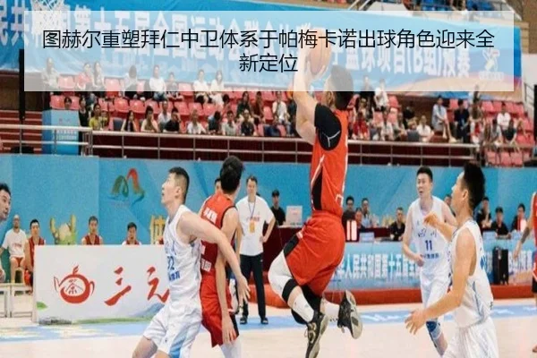 tu-he-er-zhong-su-bai-ren-zhong-wei-ti-xi-yu-pa-mei-ka-nuo-chu-qiu-jue-se-ying-lai-quan-xin-ding-wei-2-384.jpg