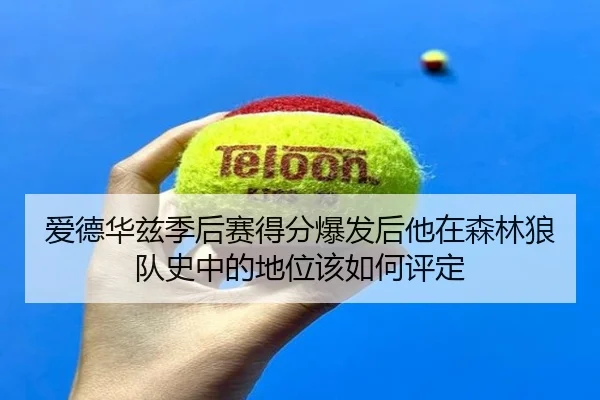 爱德华兹季后赛得分爆发后他在森林狼队史中的地位该如何评定